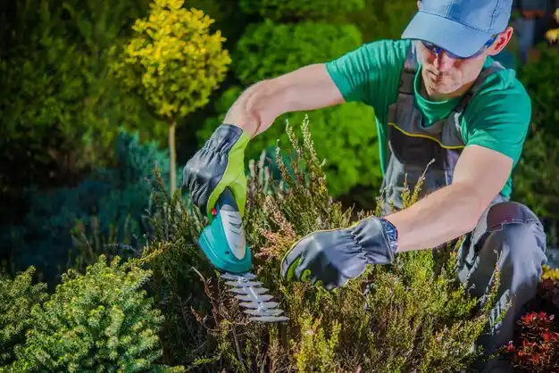 landscaping services Conesus Hamlet